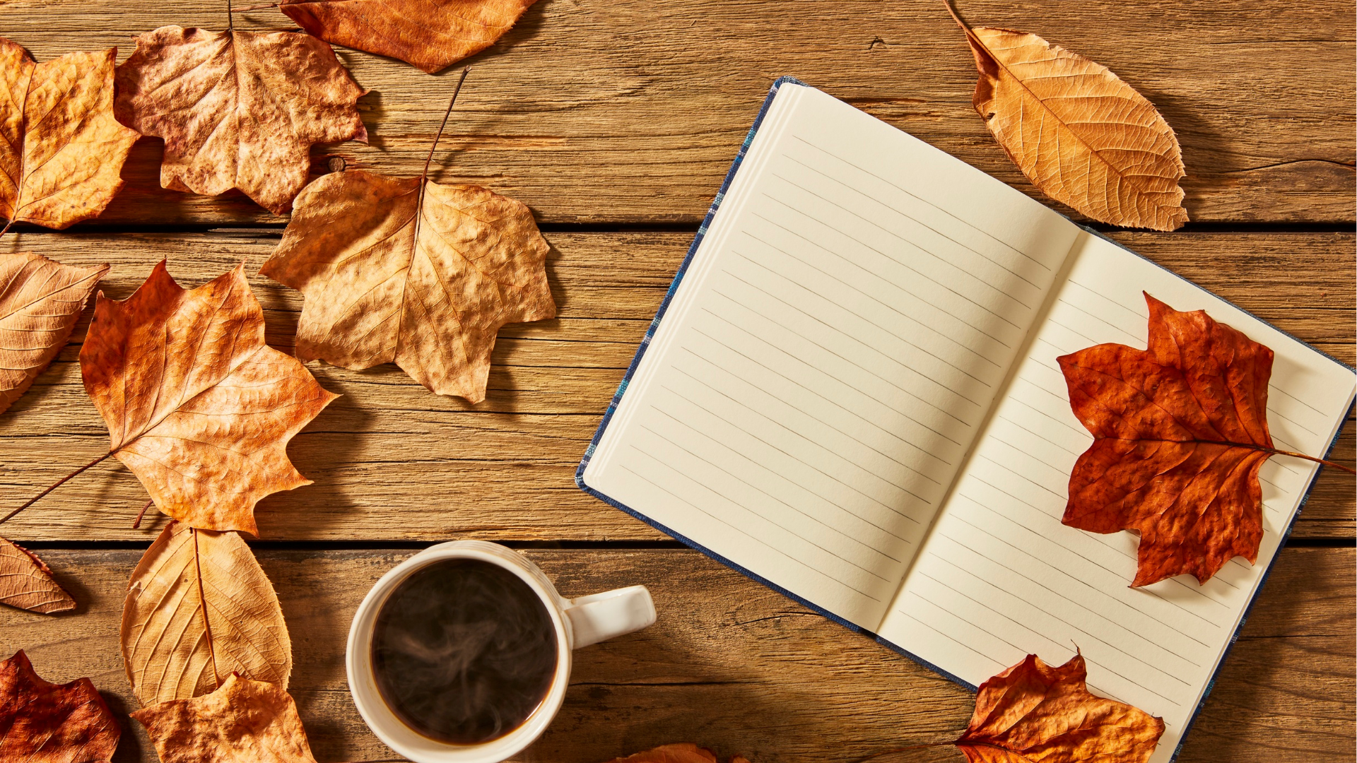 The Ultimate Guide to a Slow Living Detox (2026 Edition)