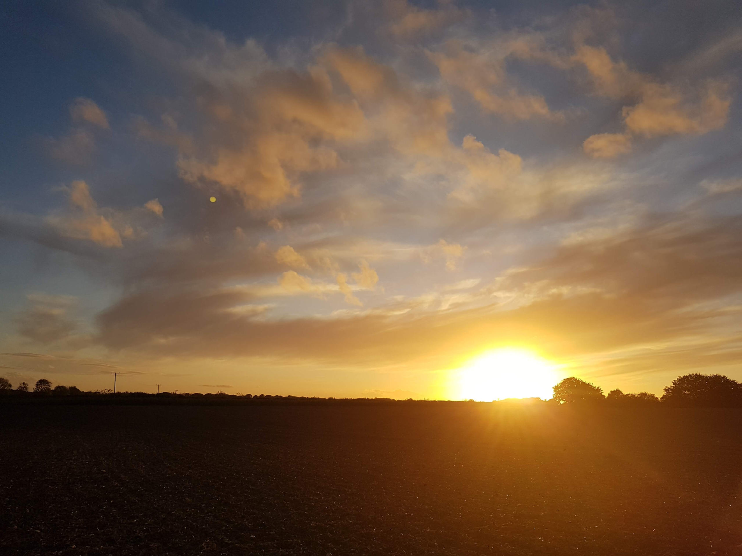 Soft winter sunrise glowing over a hedge on a quiet morning, capturing the calm, gentle atmosphere of a slow morning routine and simple intentional living.