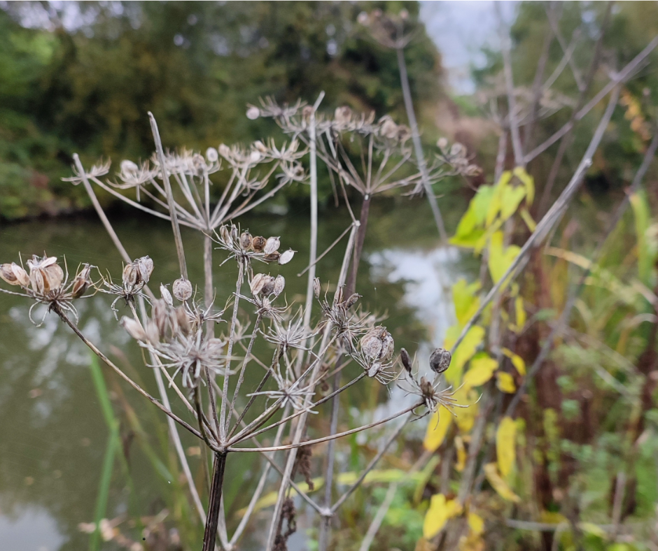 Still Figuring It Out