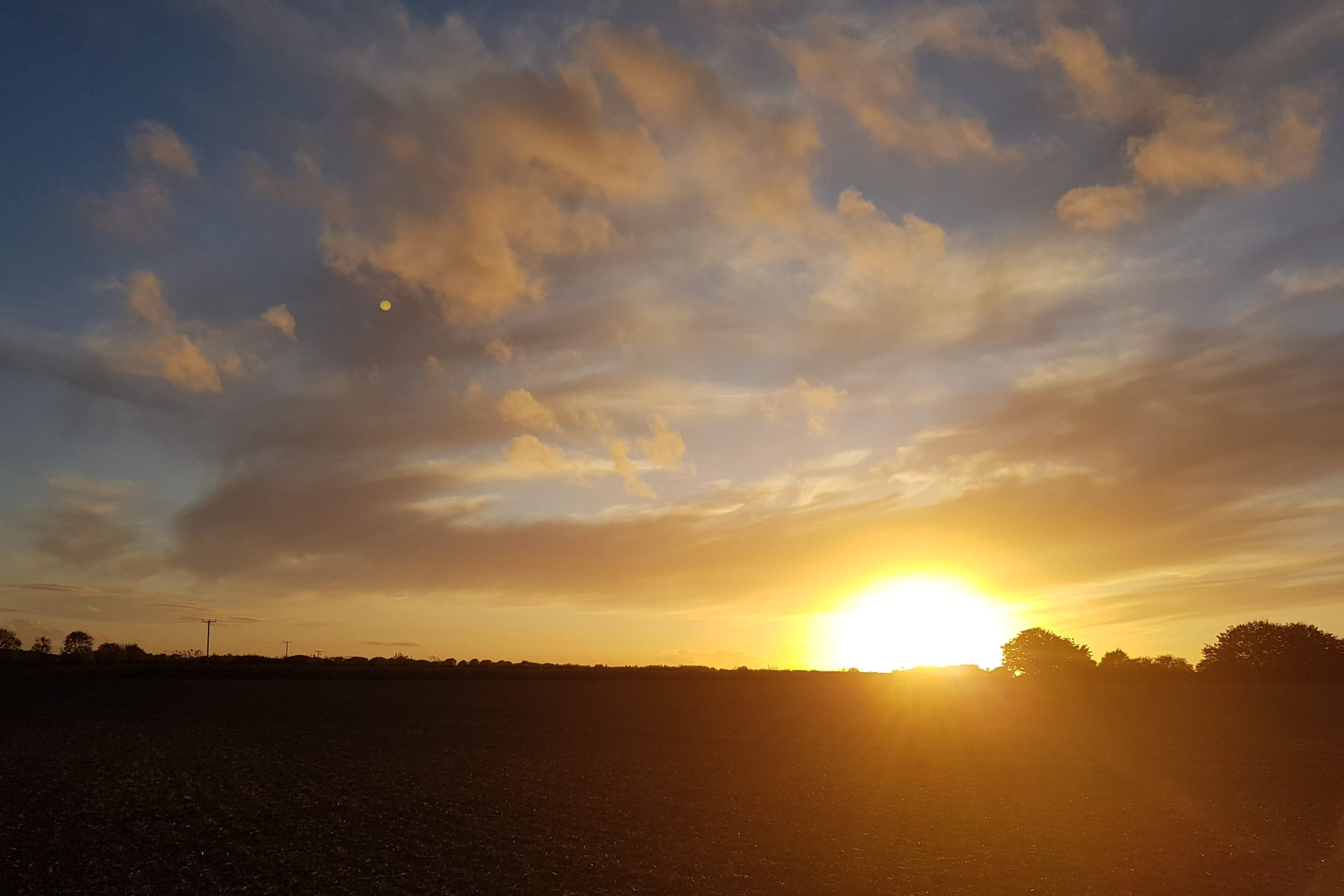 Soft winter sunrise glowing over a hedge on a quiet morning, capturing the calm, gentle atmosphere of a slow morning routine and simple intentional living.