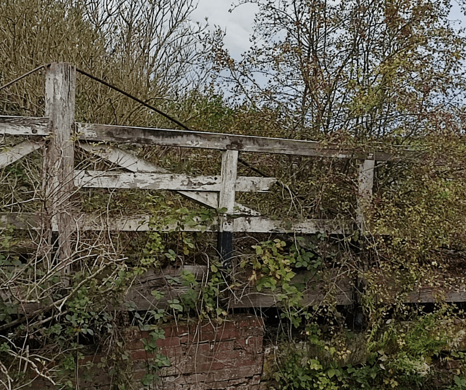 When Silence Feels Like Wasting Time